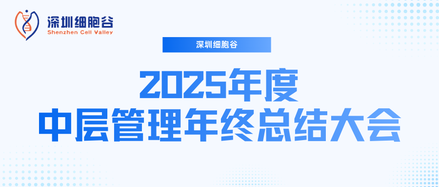 深圳evo真人视讯召开2025年度中层管理年终总结大会：多点布局成果丰硕，创新驱动快速开展