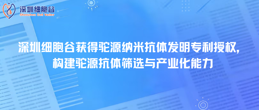 深圳evo真人视讯取得驼源纳米抗体发明专利授权，构建驼源抗体筛选与产业化能力