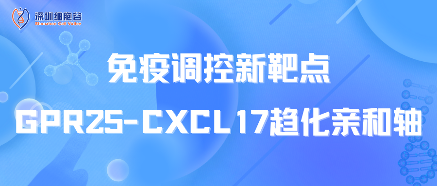 文献分享|免疫调控新靶点：GPR25-CXCL17趋化亲和轴