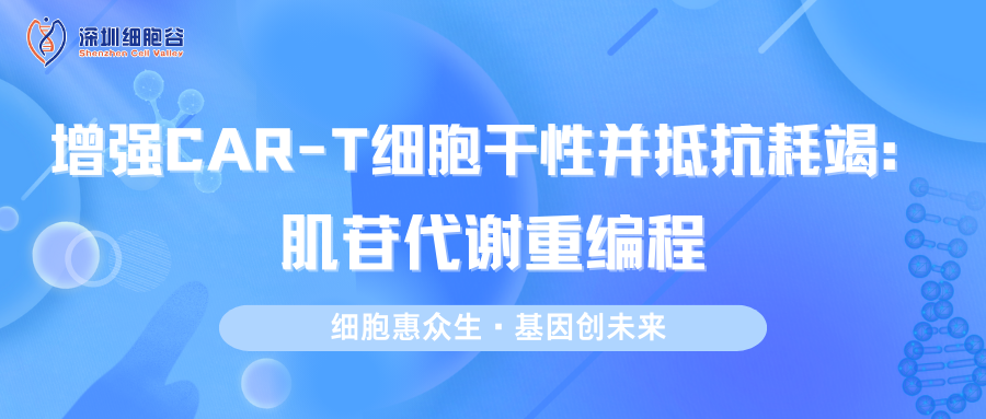 文献分享|增强CAR-T细胞干性并抵抗耗竭：肌苷代谢重编程