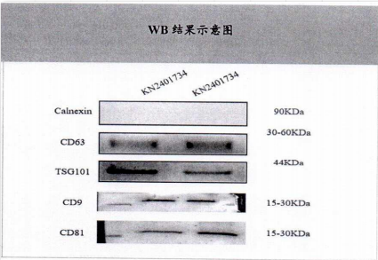 1785136637.png 图片.png