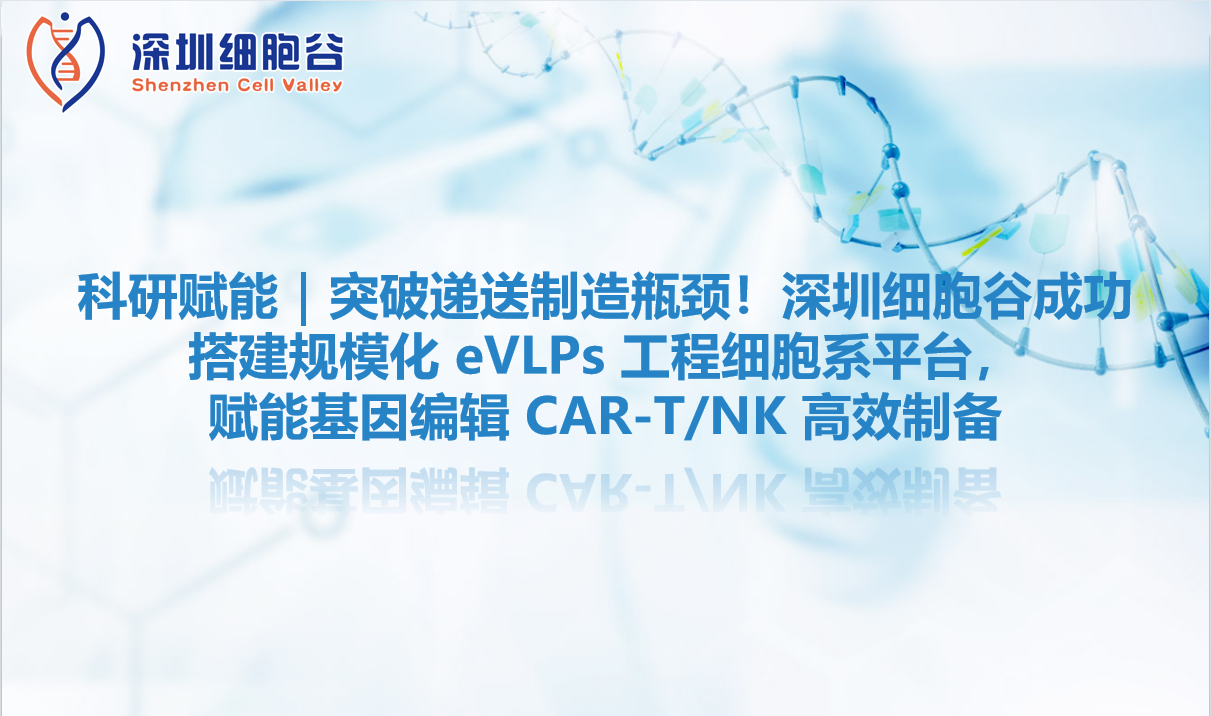 科研赋能｜突破递送制造瓶颈！深圳evo真人视讯成功搭建规模化 eVLPs 工程细胞系平台，赋能基因编辑 CAR-T/NK 高效制备